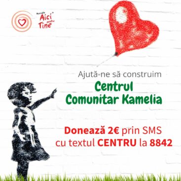 Proiect din portofoliul Dalina Agency