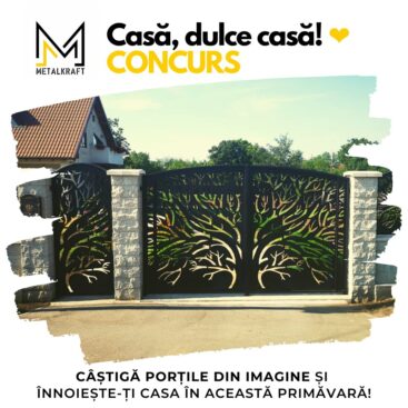 Lucrare de design Dalina Agency