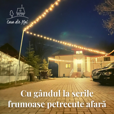 Lucrare de design Dalina Agency
